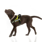 Skymee M Size Green Pet Harness No-Pull Pet Harness Adjustable Outdoor Pet Vest 3M Reflective Oxford Material Vest for Dogs Easy Control for Small Medium Large Dogs - Skymee Store